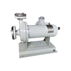 Basic Canned Motor Pump (Type F)